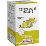 Sandemetrio Zenzero e Limone (Infuso alla frutta - astuccio da 16 capsule compatibili Lavazza a Modo Mio)